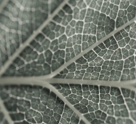 Micronutrition et écologie : ce que nos sols disent de notre santé